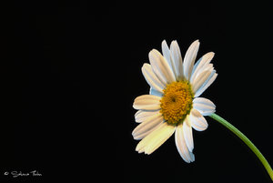 klein-stacking-4-2.jpg klein-stacking-4-2.jpg