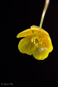 klein-stacking-4-3.jpg klein-stacking-4-3.jpg