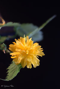 klein-stacking-4-4.jpg klein-stacking-4-4.jpg