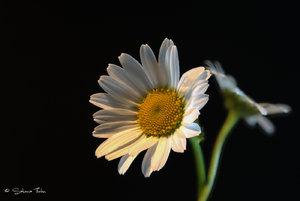 klein-stacking-4-5.jpg klein-stacking-4-5.jpg