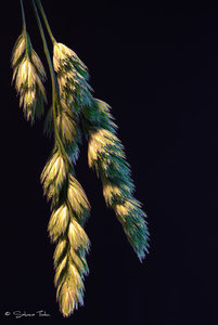 klein-stacking-4-6.jpg klein-stacking-4-6.jpg