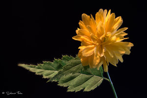 klein-stacking-4.jpg klein-stacking-4.jpg