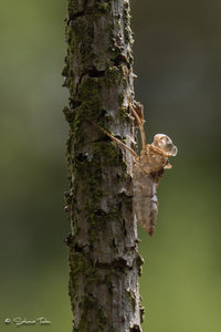 DM9A9844.jpg DM9A9844.jpg