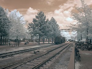 comp_IMG_2806.jpg comp_IMG_2806.jpg