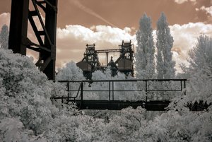 comp_IMG_2825.jpg comp_IMG_2825.jpg