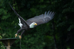 DM9A0365.jpg DM9A0365.jpg