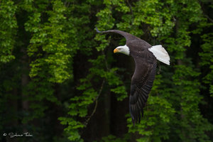 DM9A0390.jpg DM9A0390.jpg