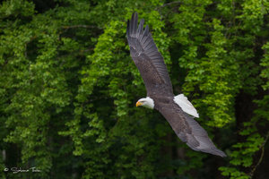 DM9A0391.jpg DM9A0391.jpg