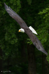 DM9A0393.jpg DM9A0393.jpg