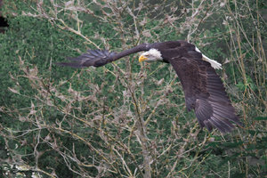 DM9A0514.jpg DM9A0514.jpg