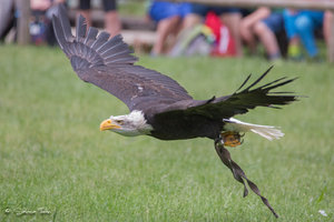 DM9A0520.jpg DM9A0520.jpg