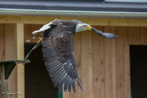 DM9A0523.jpg DM9A0523.jpg