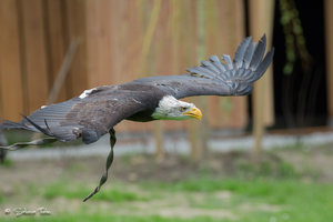 DM9A0530.jpg DM9A0530.jpg