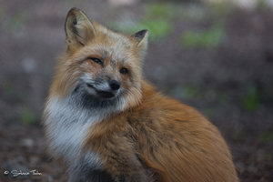 DM9A0596.jpg DM9A0596.jpg