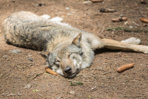 DM9A0615.jpg DM9A0615.jpg