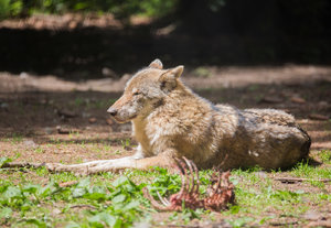 DM9A0621.jpg DM9A0621.jpg