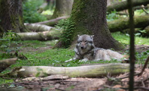 DM9A0626.jpg DM9A0626.jpg