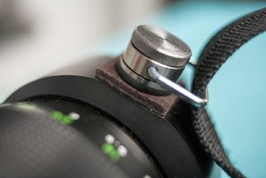 comp_IMG_7681.jpg comp_IMG_7681.jpg