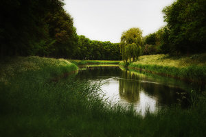 für Bilderforum-8.jpg