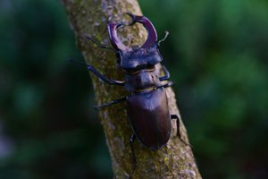 DSC08648.JPG DSC08648.JPG