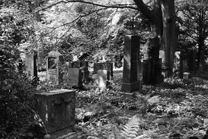 jued_fried_1.JPG jued_fried_1.JPG