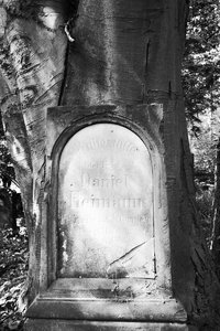 jued_fried_2.JPG jued_fried_2.JPG