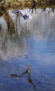 Bielefeld 041_ji.jpg