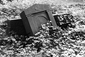 SAM_0996_kl.JPG SAM_0996_kl.JPG