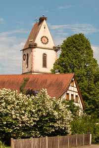 2016 05 30_2211_bearbeitet-2.jpg