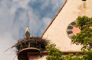 2016 05 30_2230_bearbeitet-2.jpg