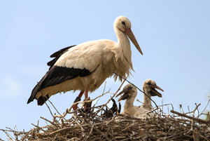 2016 05 30_2218_bearbeitet-2.jpg