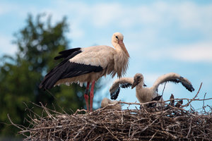 2016 05 30_2225_bearbeitet-2.jpg