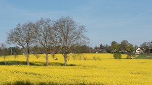 Für Fotoforum-2.jpg Für Fotoforum-2.jpg