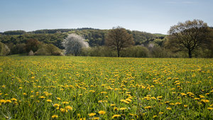 Für Fotoforum-3.jpg Für Fotoforum-3.jpg