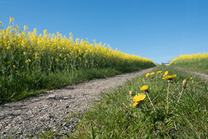 Für Fotoforum-4.jpg Für Fotoforum-4.jpg