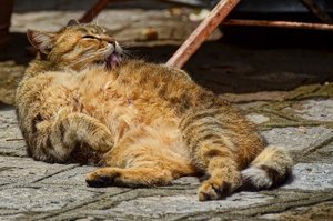 DSC_7493_ji_c.jpg DSC_7493_ji_c.jpg