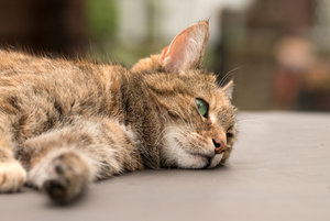 2016 05 30_2186_bearbeitet-2.jpg