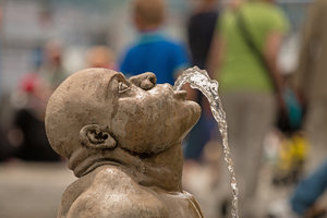 2016 05 30_2456_bearbeitet-2.jpg