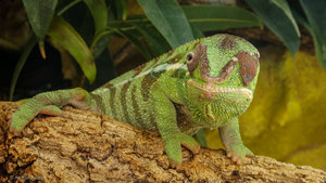 SAM_4978.jpg SAM_4978.jpg