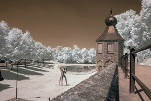 comp_IMG_2941.jpg comp_IMG_2941.jpg