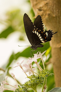 2016 05 30_2274_bearbeitet-2.jpg