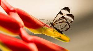 2016 05 30_2268_bearbeitet-2.jpg