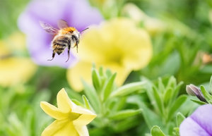 20160609-DSCF0831-3 bearb..jpg