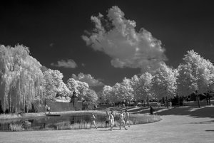 comp_IMG_3173+.jpg comp_IMG_3173+.jpg