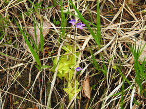 Wildsteig 2016  208_Bildgröße ändern.JPG