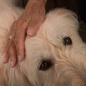 2016 06 21_2810_bearbeitet-2.jpg