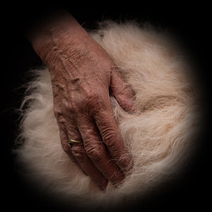 2016 06 21_2815_bearbeitet-2.jpg