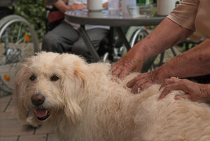 2016 06 21_2846_bearbeitet-2.jpg