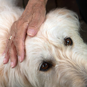 2016 06 21_2810_bearbeitet-2.jpg