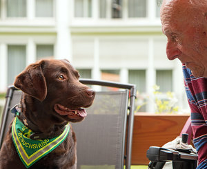 2016 06 21_2819_bearbeitet-2.jpg